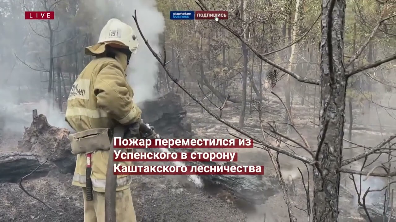 Обстановка в казахстане Обстановка в казахстане